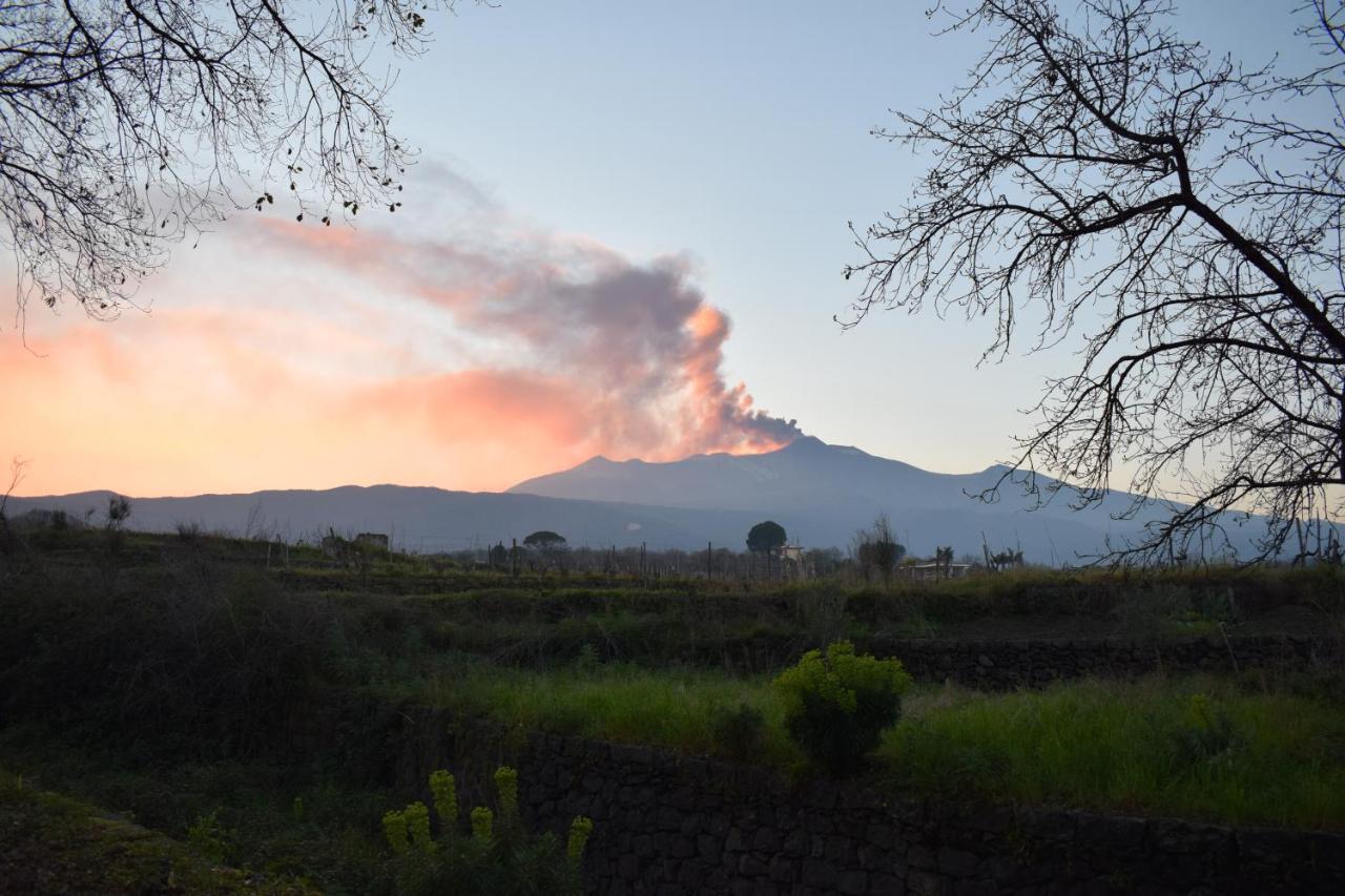 Etna Tra Le Querce Villa Santa Venerina Bagian luar foto