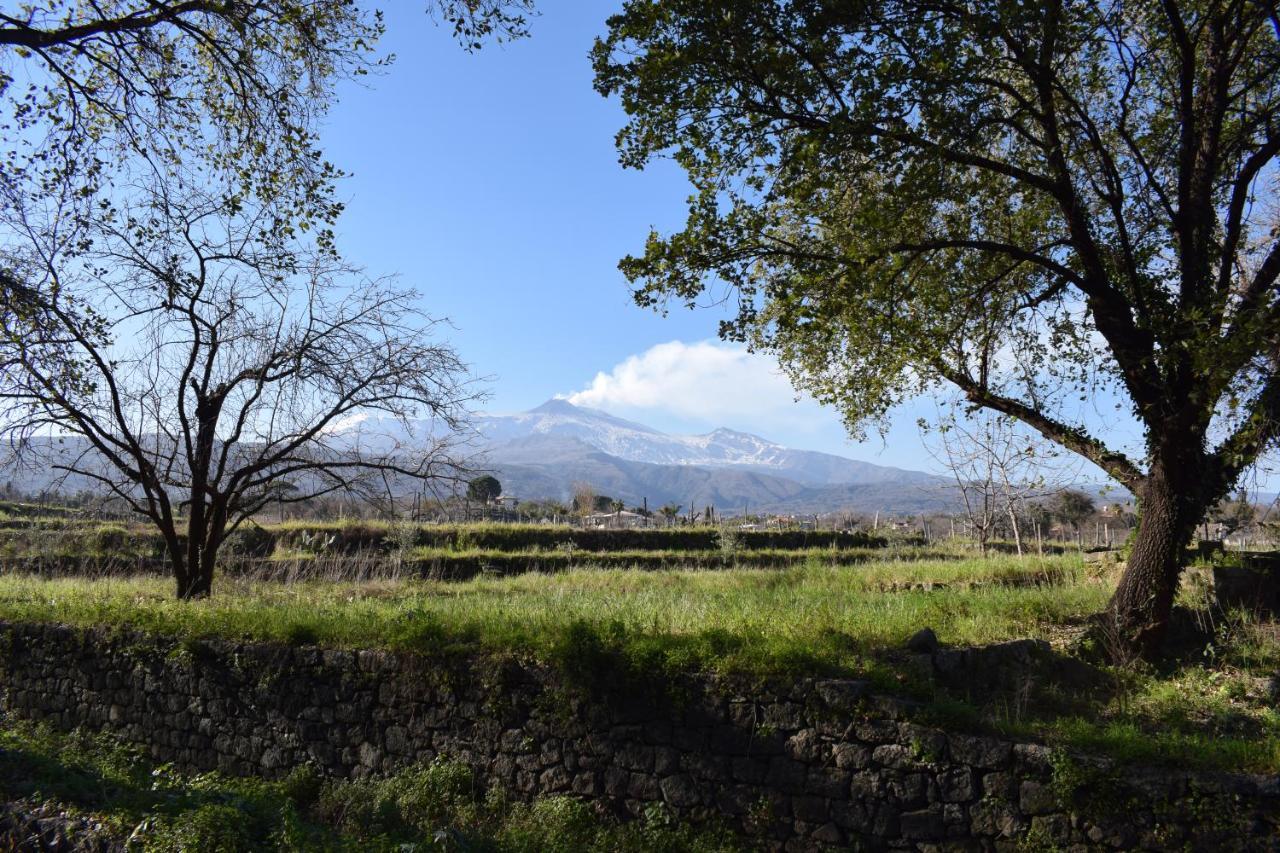Etna Tra Le Querce Villa Santa Venerina Bagian luar foto